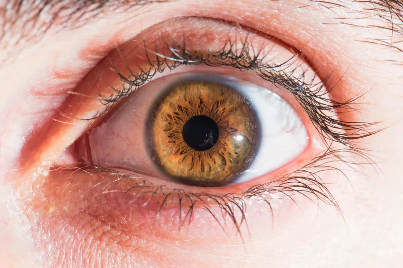 Gujarati - Your guide to diabetic retinopathy