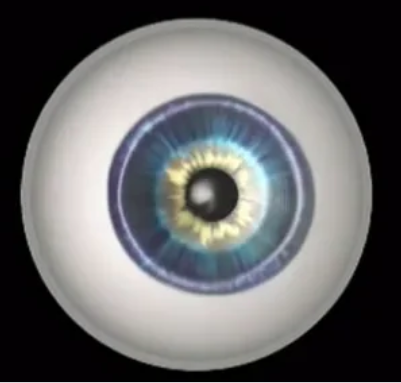 Image for Somali - Diabetic Retinopathy