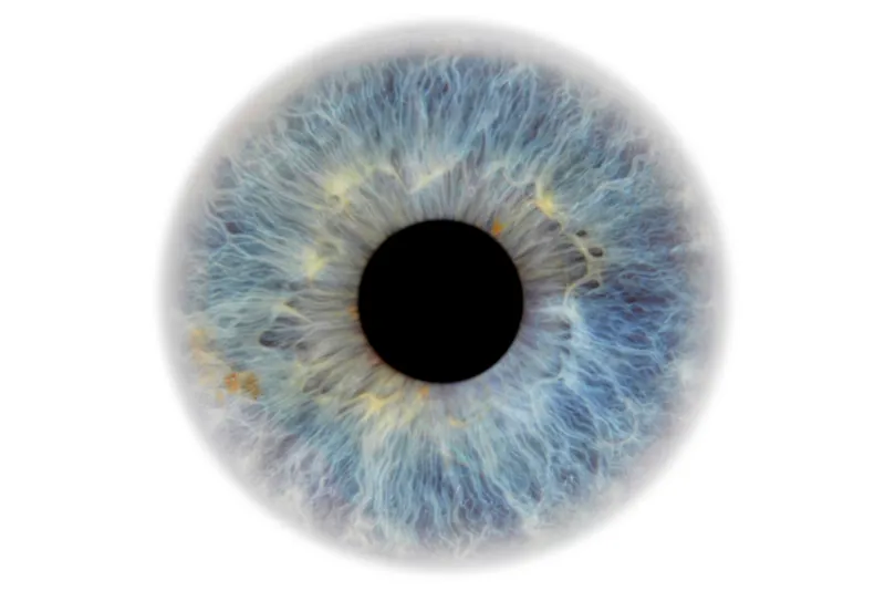 Eye Problems:  Retinopathy and eye screening
